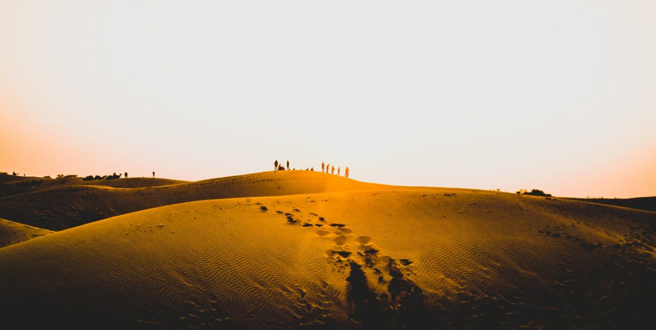 Rajasthan desert